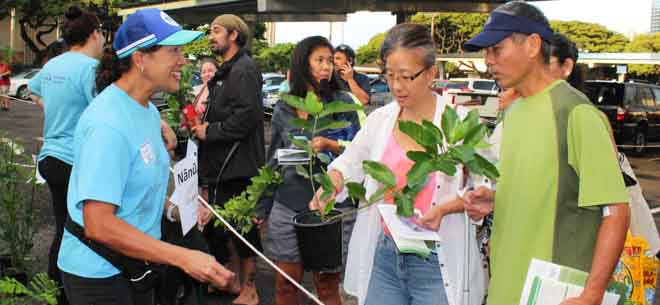 Oahu arbor day fun