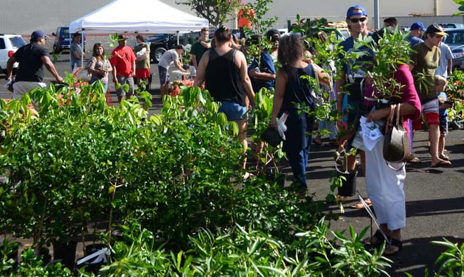 Kauai Arbor Day